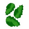 Image of leaves07.jpg