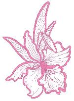 Image of orchidb.jpg