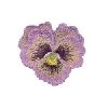 Image of 3dpansy01.jpg