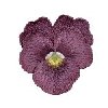 Image of 3dpansy04.jpg