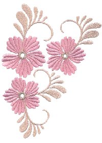 Image of 5x7col505.jpg