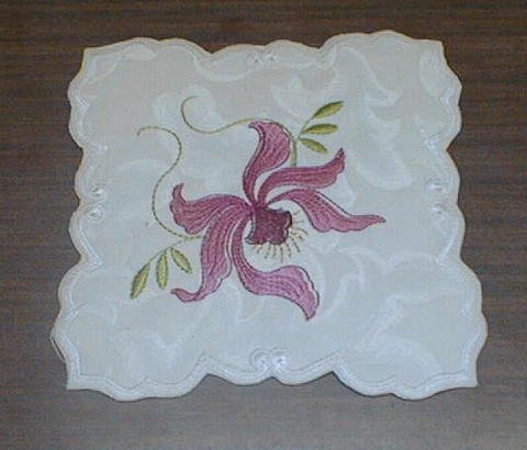 Image of jolynchdoily1.jpg