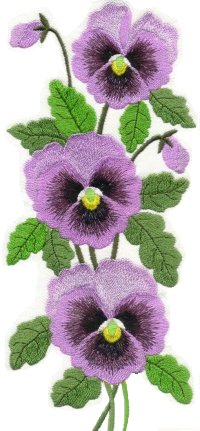 Image of jumbopansy01.jpg