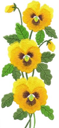 Image of jumbopansy01a.jpg