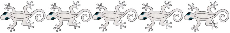 Image of lizardborder.jpg
