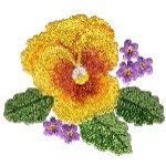 Image of pansy06.jpg