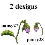 Image of pansy27.jpg