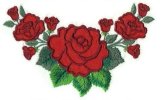 Image of rose10b.jpg